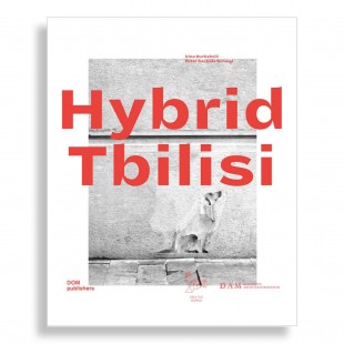 Hybrid Tbilisi. Reflections on Architecture in Georgia