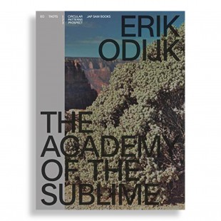 Erik Odijk. The Academy of the Sublime