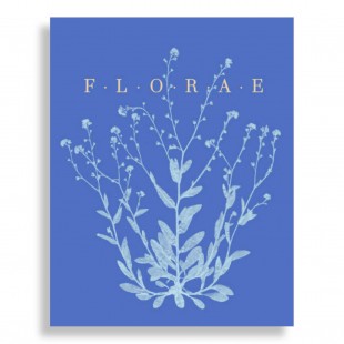 Florae